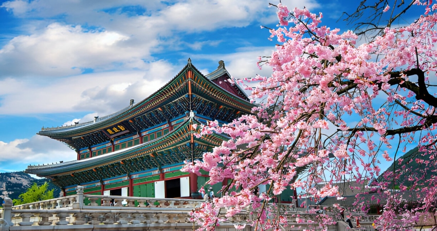 6H4M Korea Saranghaeyo
