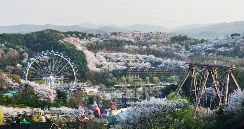 6H4M Korea + Everland Theme Park