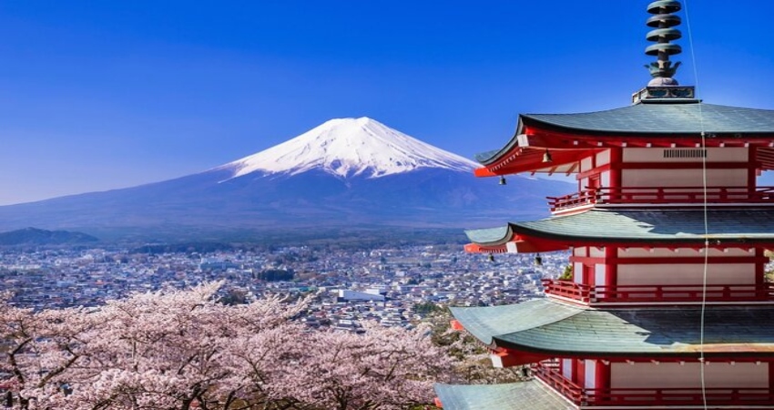 6H4M Tokyo + Mt. Fuji