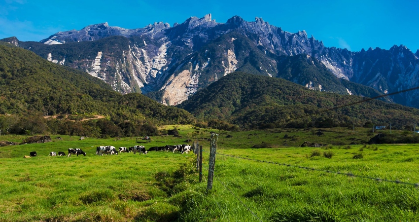 3D2N Halfboard Kundasang Kota Kinabalu