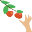 Fruit Picking
