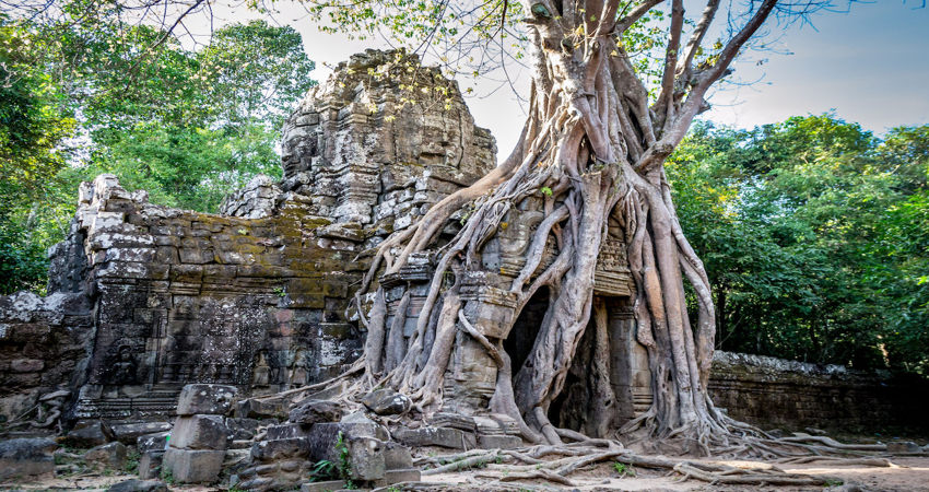5H4M Phnom Penh - Siem Reap